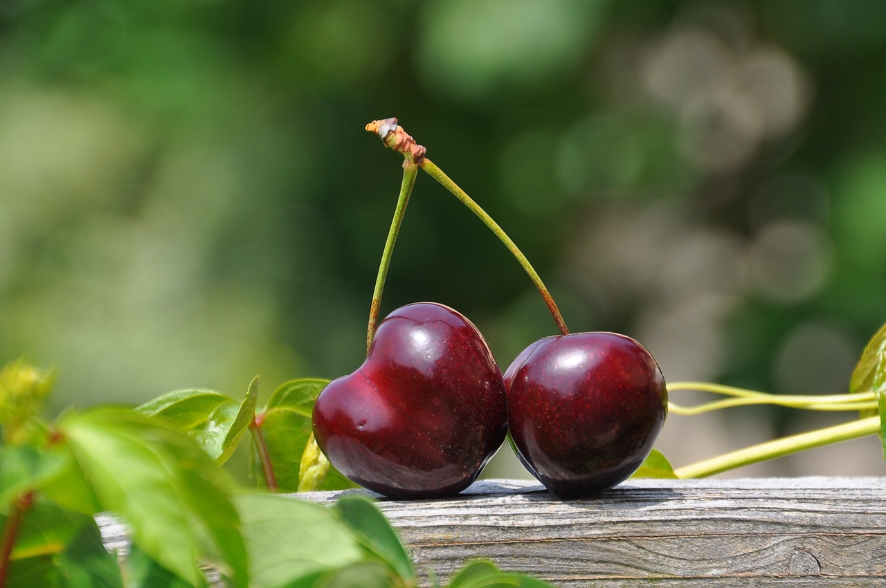 Dream Meaning of Sour Cherry