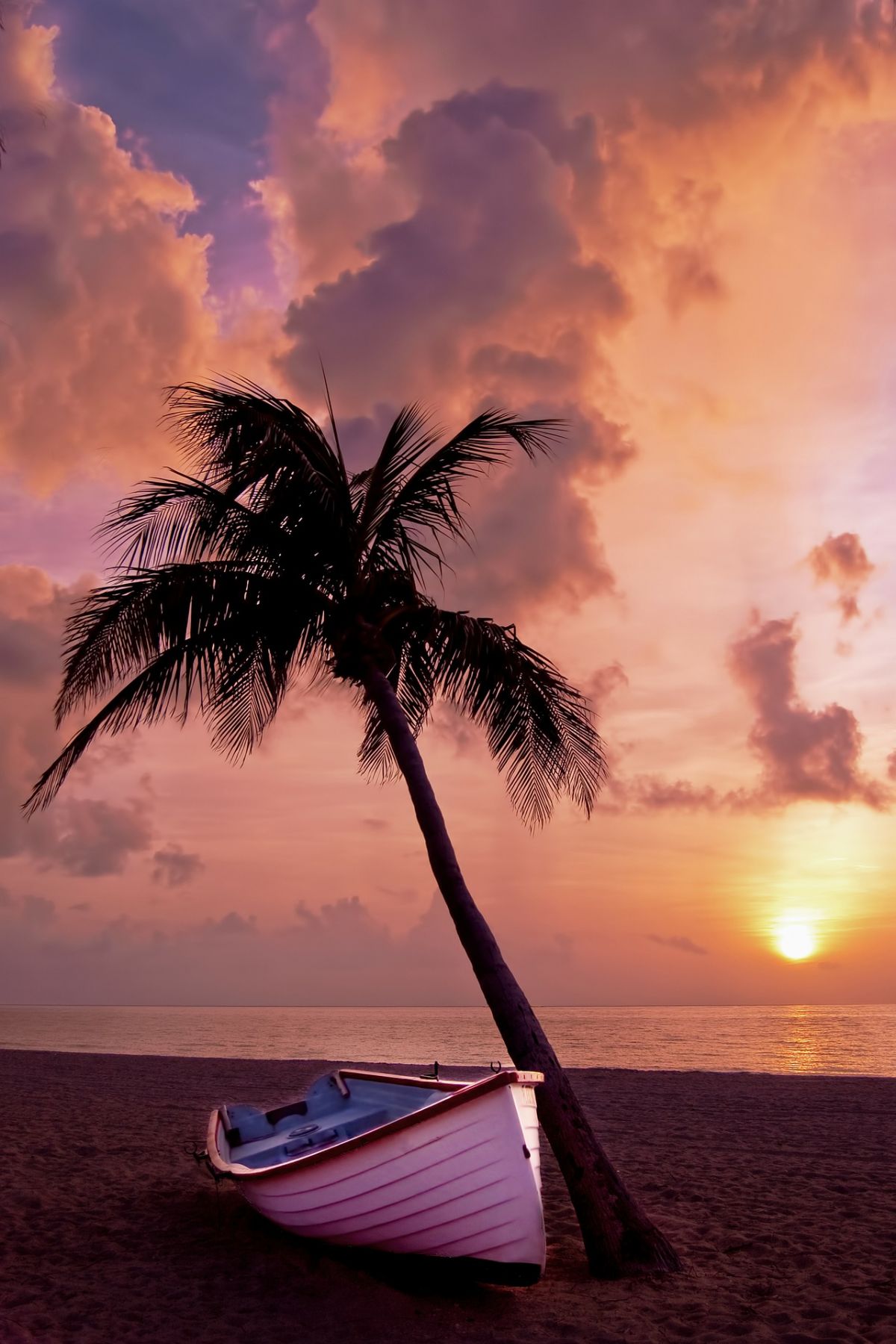 Dream Meaning of Palm