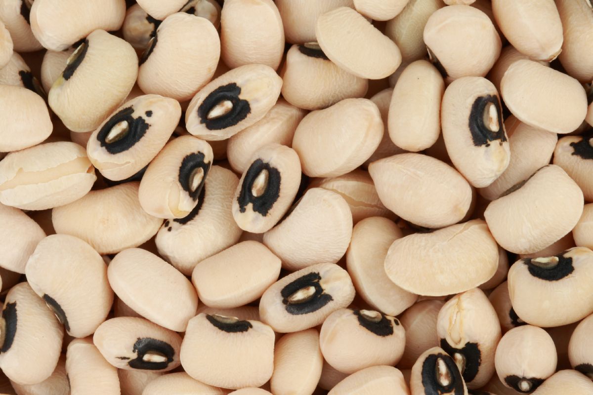 Dream Meaning of Black-Eyed Pea