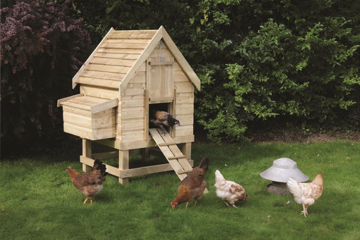 Dream Meaning of a Coop (Poultry House)