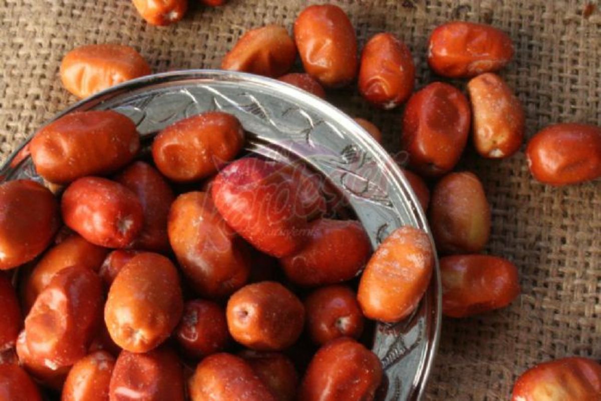Dream Meaning of Elaeagnus (Oleaster)