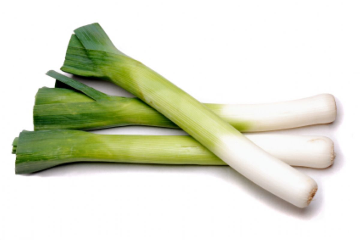 Dream Meaning of Leek