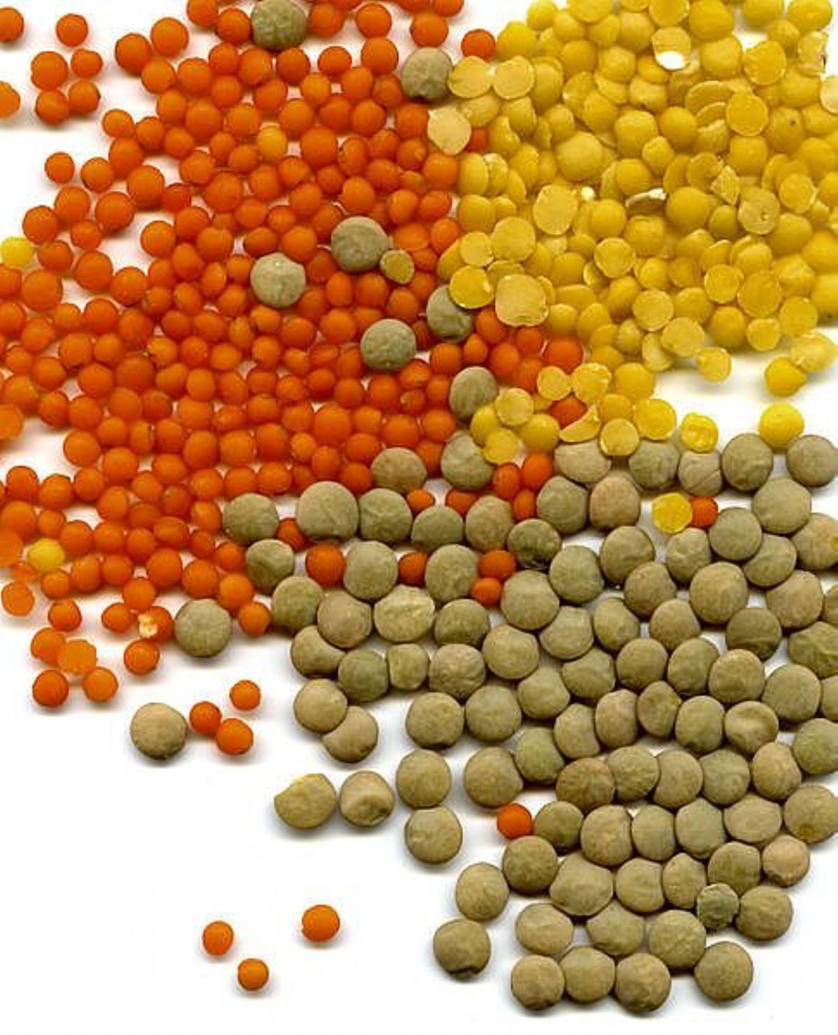 Dream Meaning of Lentil