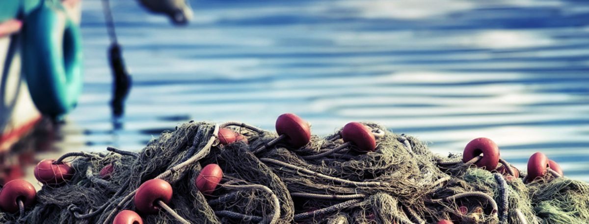 Dream Meaning of Net