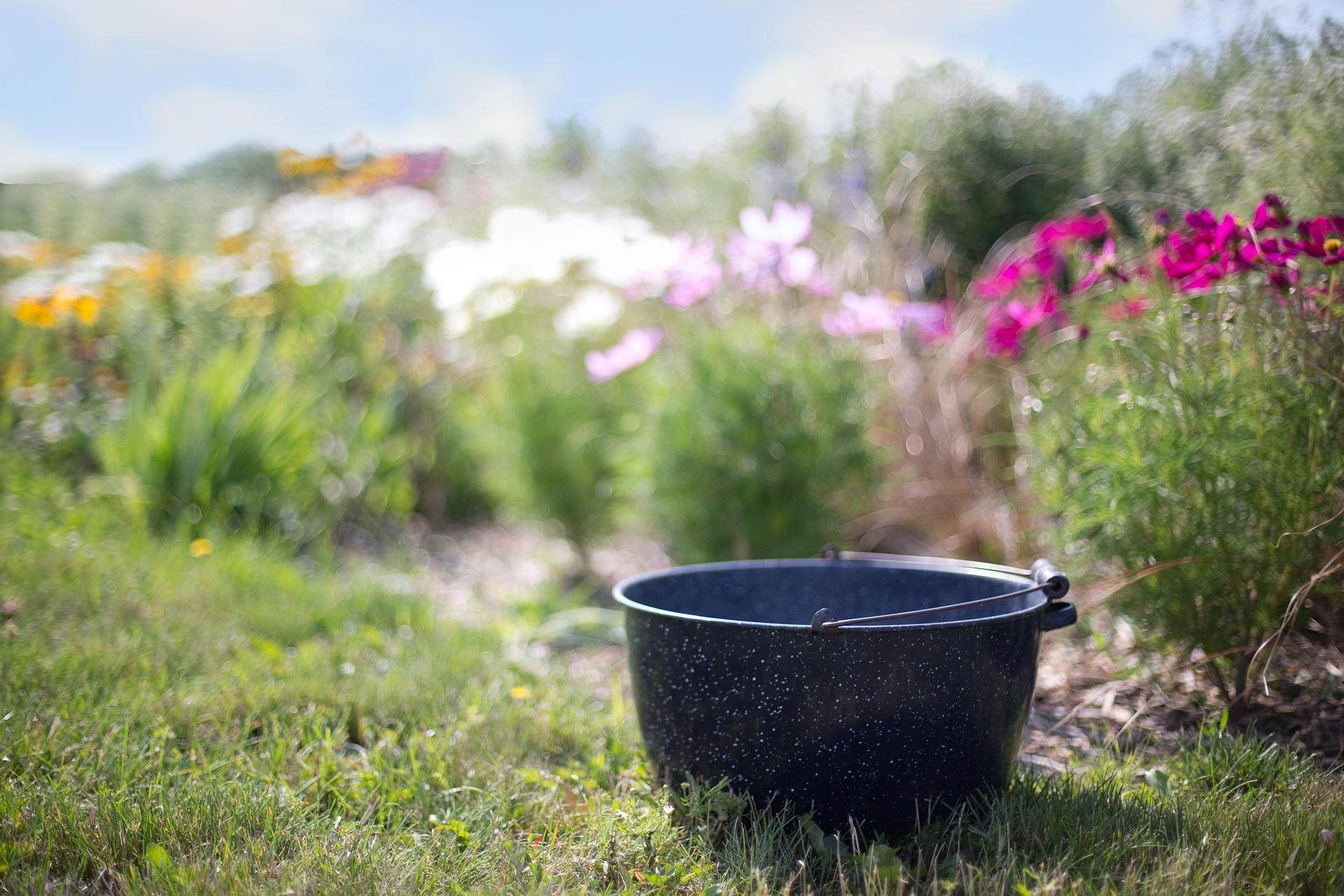 Dream Interpretation of a Washbowl