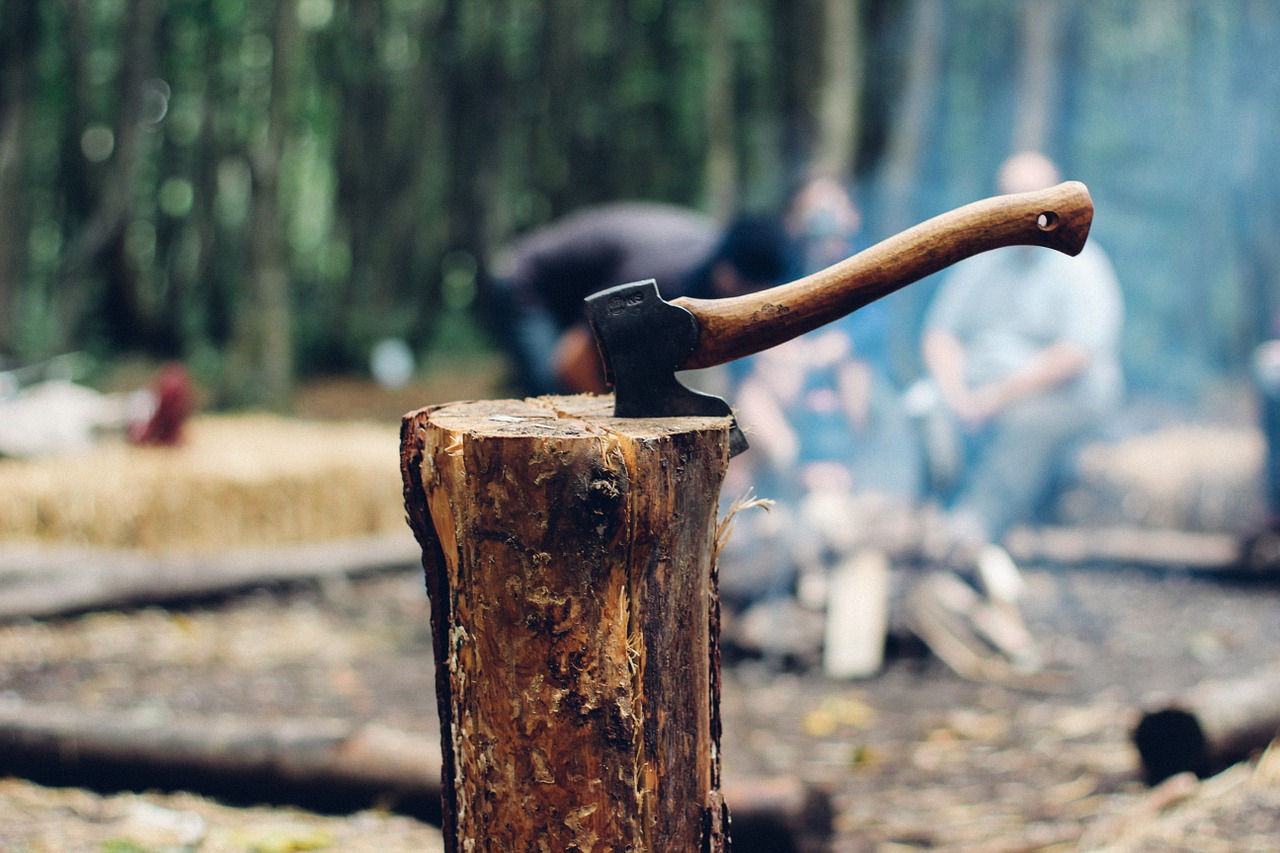 Dream Meaning of Timber