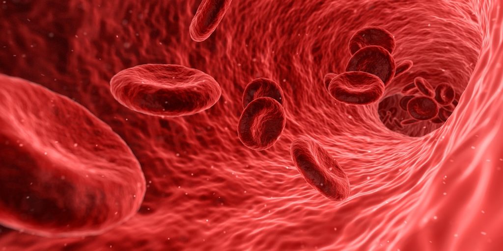Dream Meaning of Vein