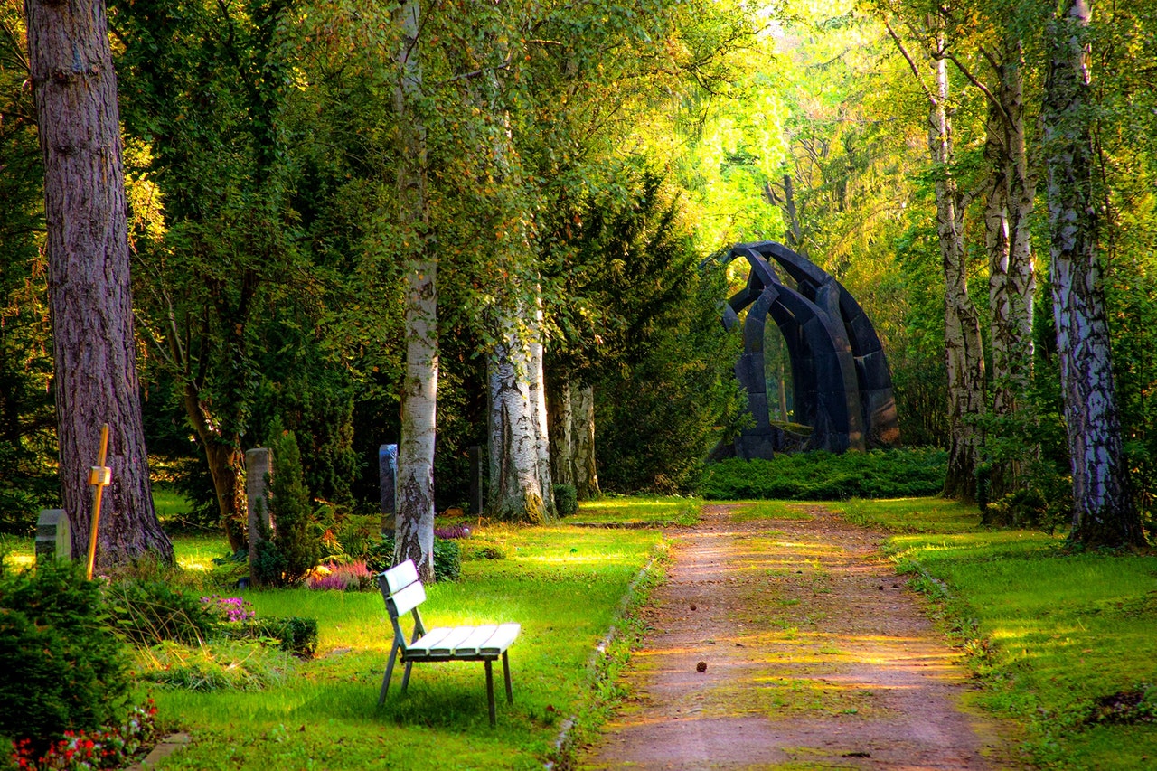 Dream Meaning of Park