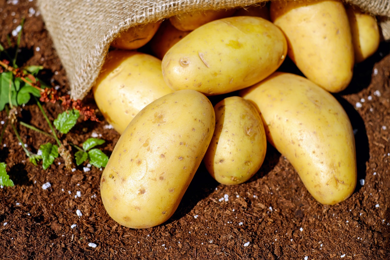 Dream Meaning of Potato