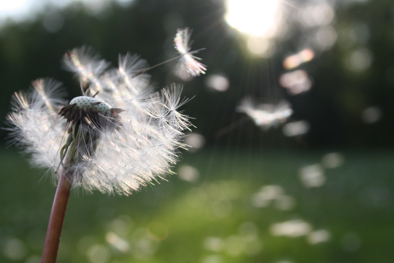 Dream Meaning of Wind