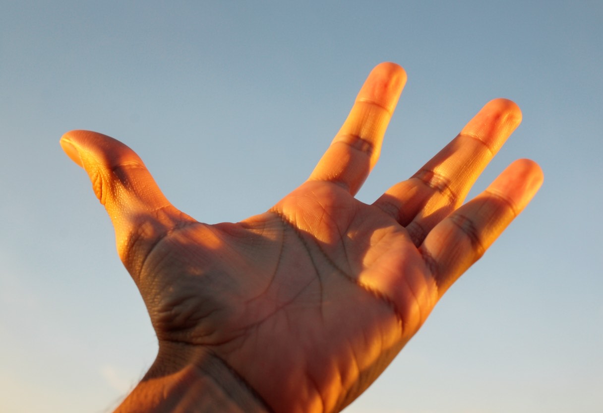 Dream Meaning of Palm of Hand