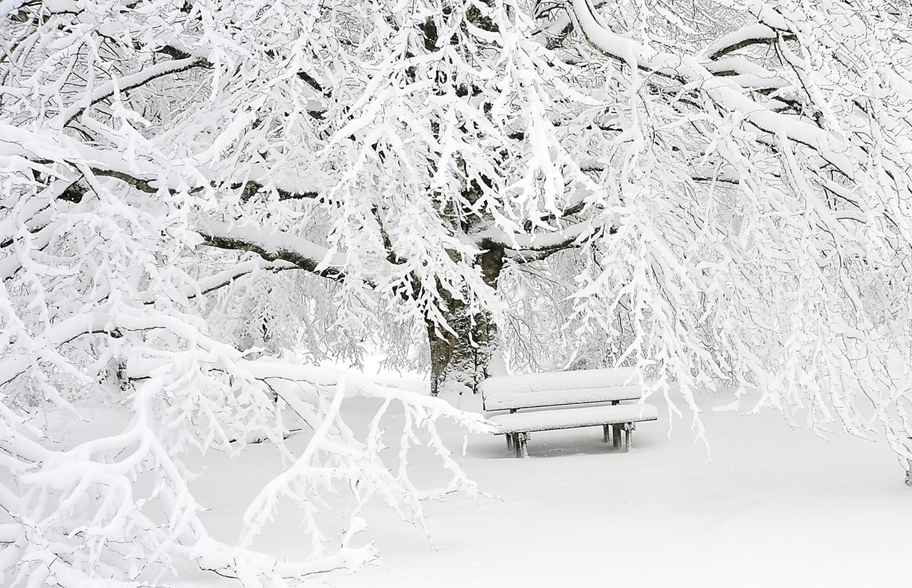 Dream Meaning of Snow