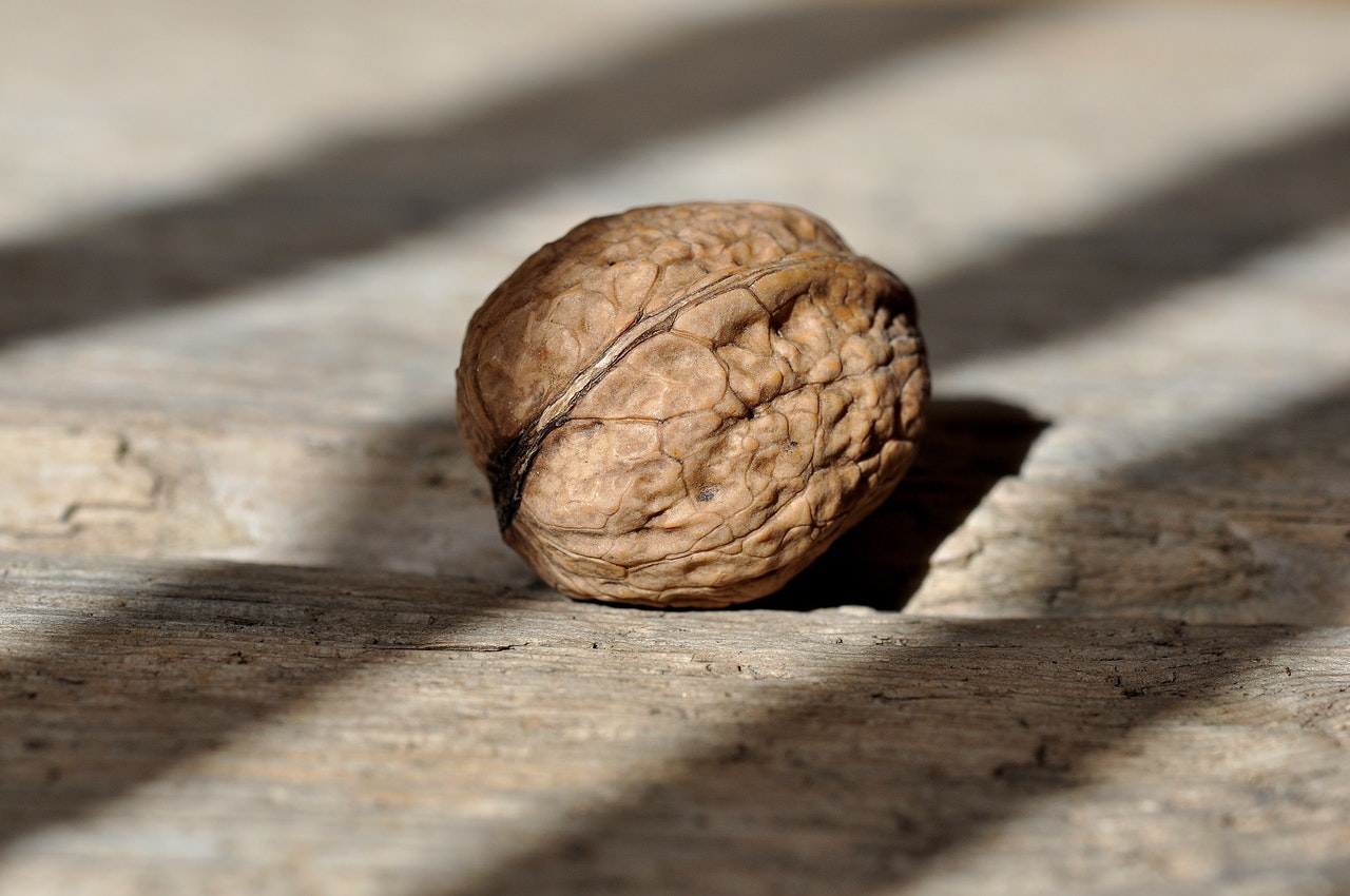 Dream Meaning of Walnut